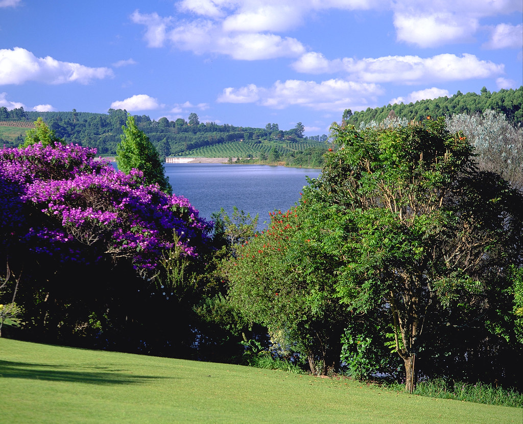 View from White River South Africa Subtropial Splendor … Flickr