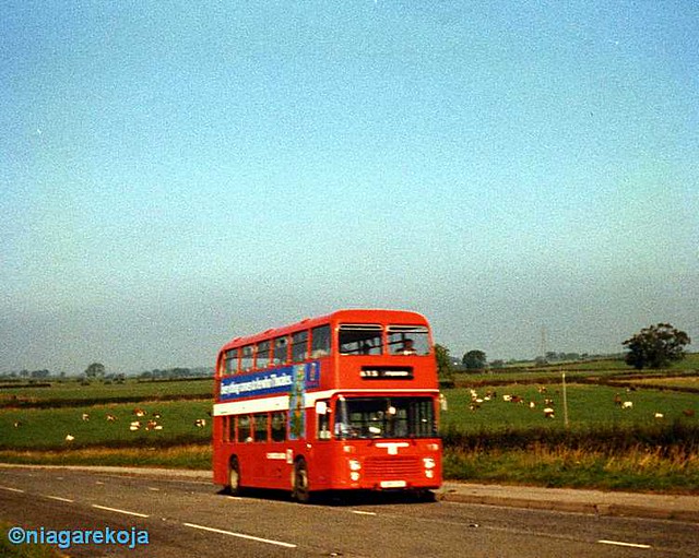 Cumberland Motor Services a photo on Flickriver