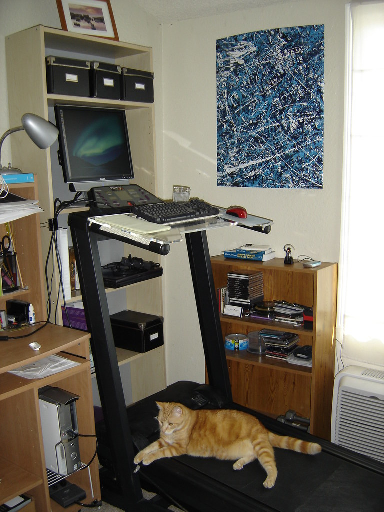 Treadmill Desk Topper also likes the treadmill desk! Tracy Byrnes