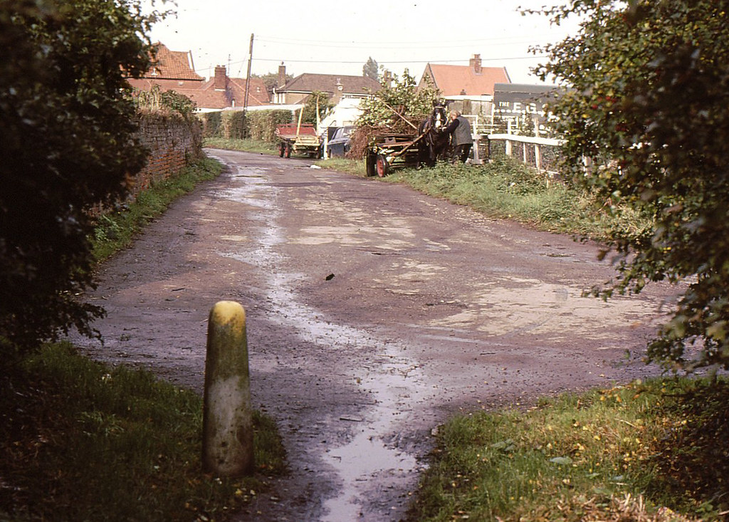 Kitchen Lane, 1985 Roy Brusby preparing his horse Beverley exile