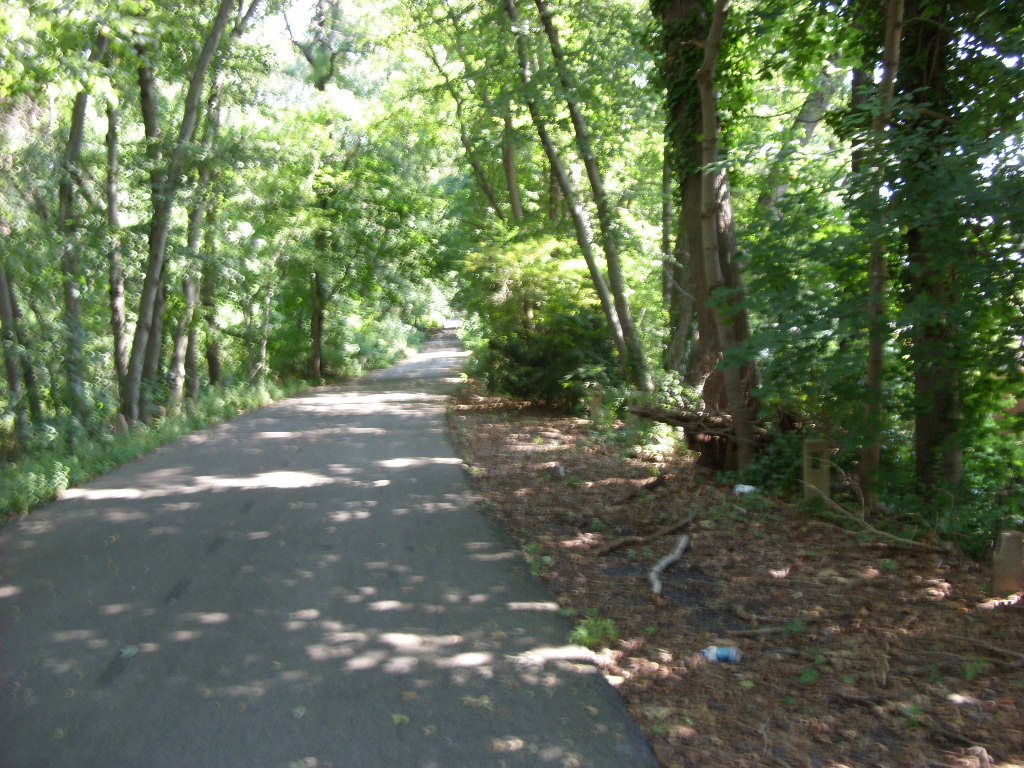 081008 397 Doug Kerr Flickr