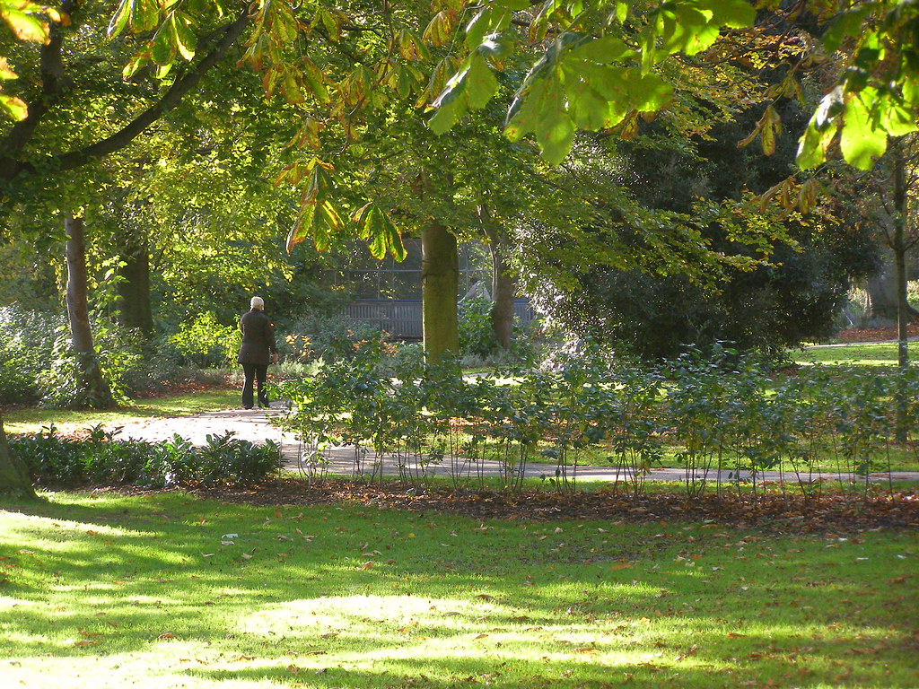 Kings Lynn Park m326 Alan Flickr