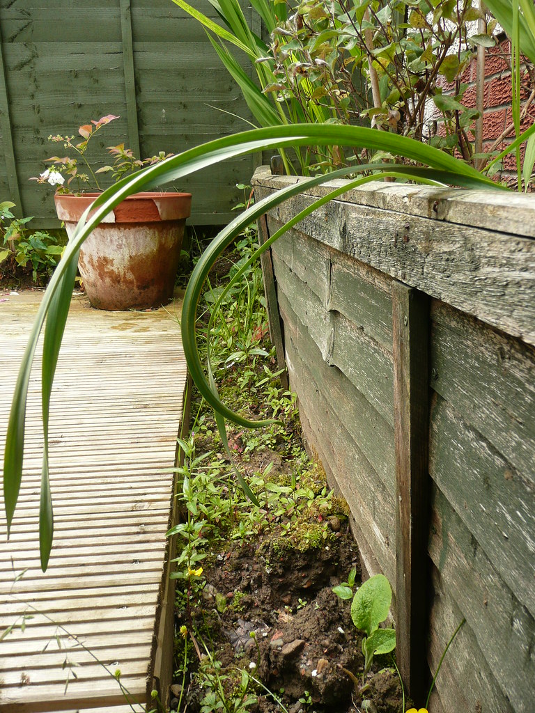 Garden The soontobe replaced knackered old flower bed. I… Flickr