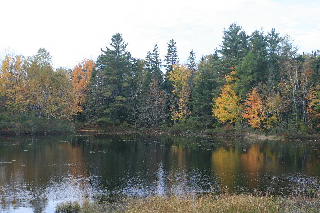 Fall Foliage, New Hampshire Milan, New Hampshire jjwpix Flickr