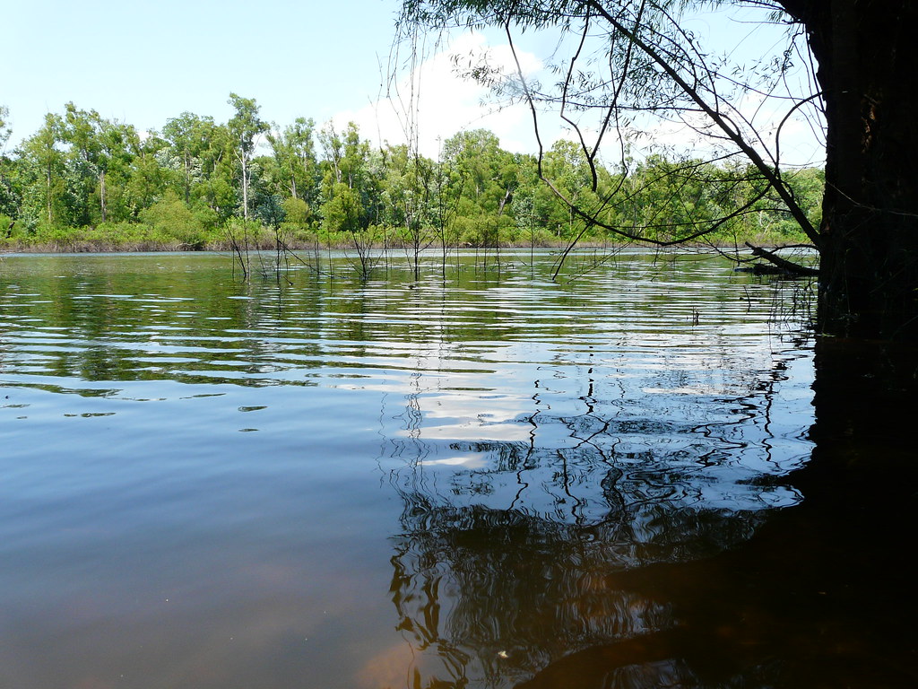Moss Island Lake Kimmy Flickr