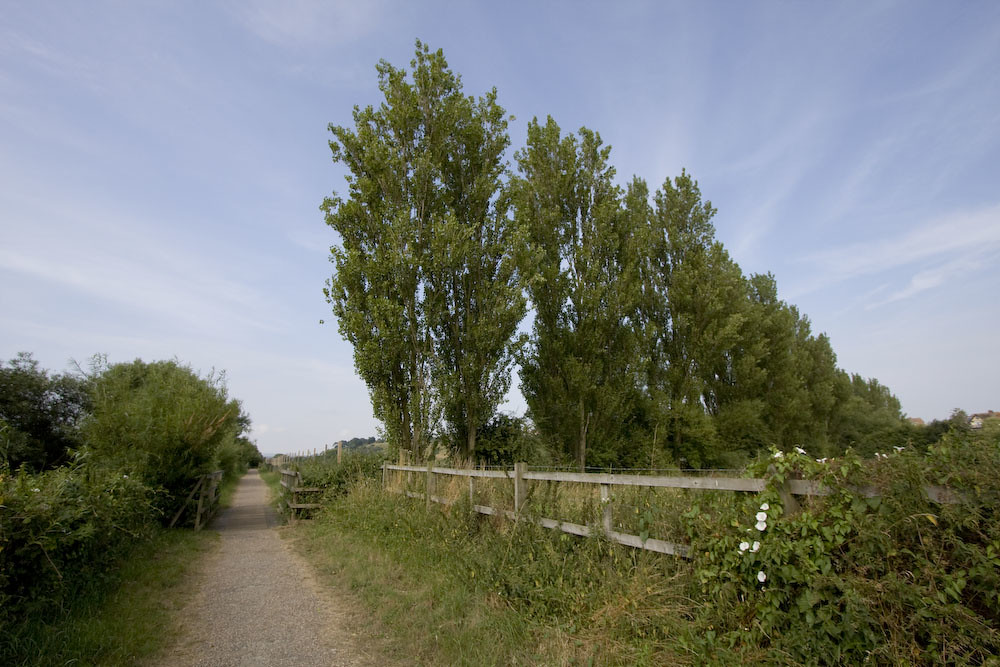 Photos Winchelsea to Hastings Walk SWC