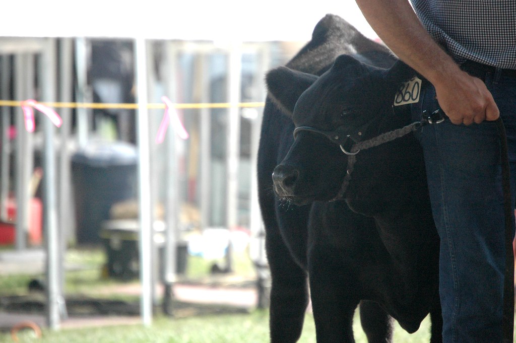 No. 860 Sandwich County State Fair Sandwich, IL More on an… Flickr