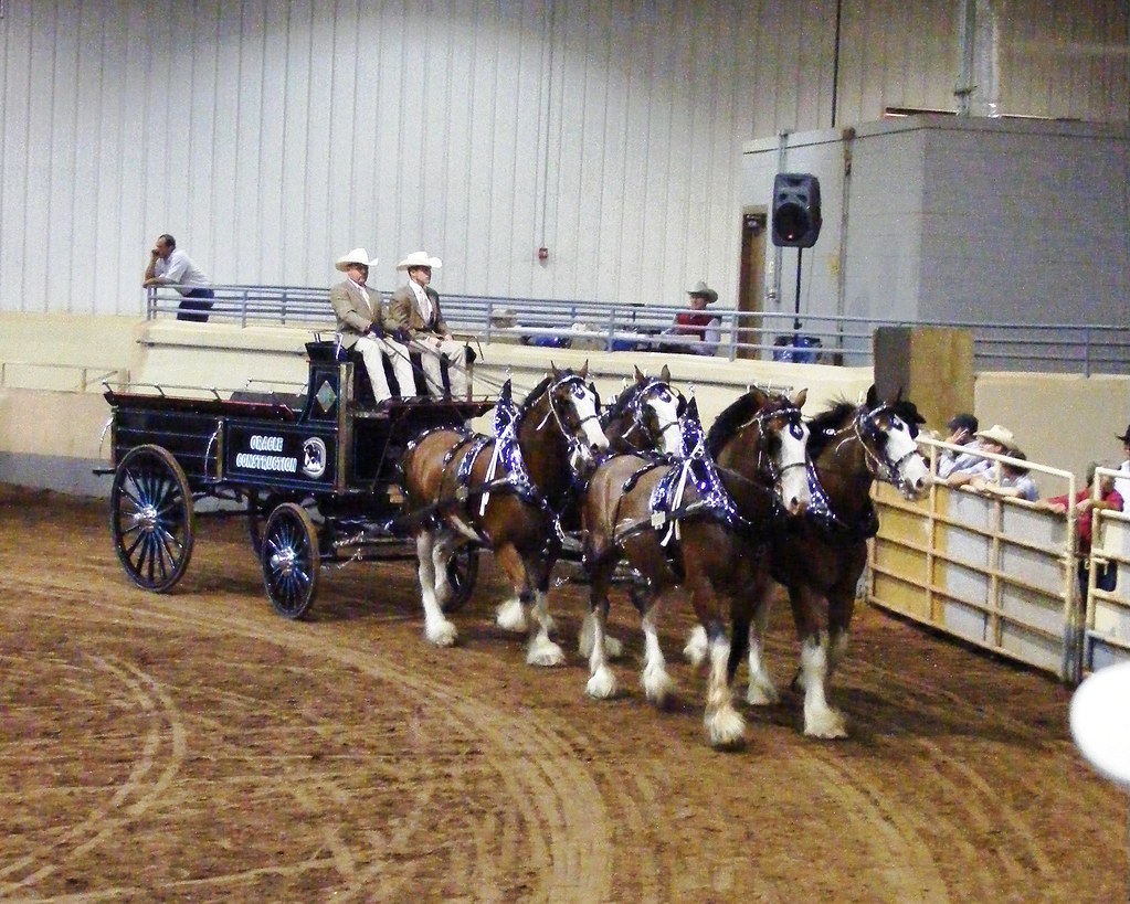 DSCF3973 2008 Oklahoma State Fair Draft Horse Show Range Diva Flickr