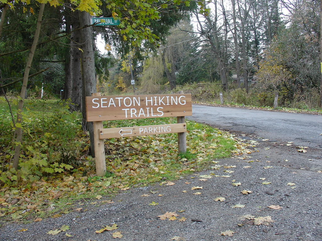 Seaton parking oldbusdriver1 Flickr