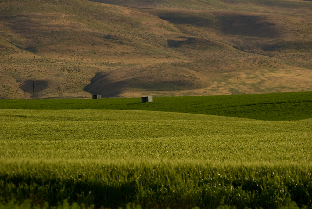Farm near Walla Walla Scott Butner Flickr