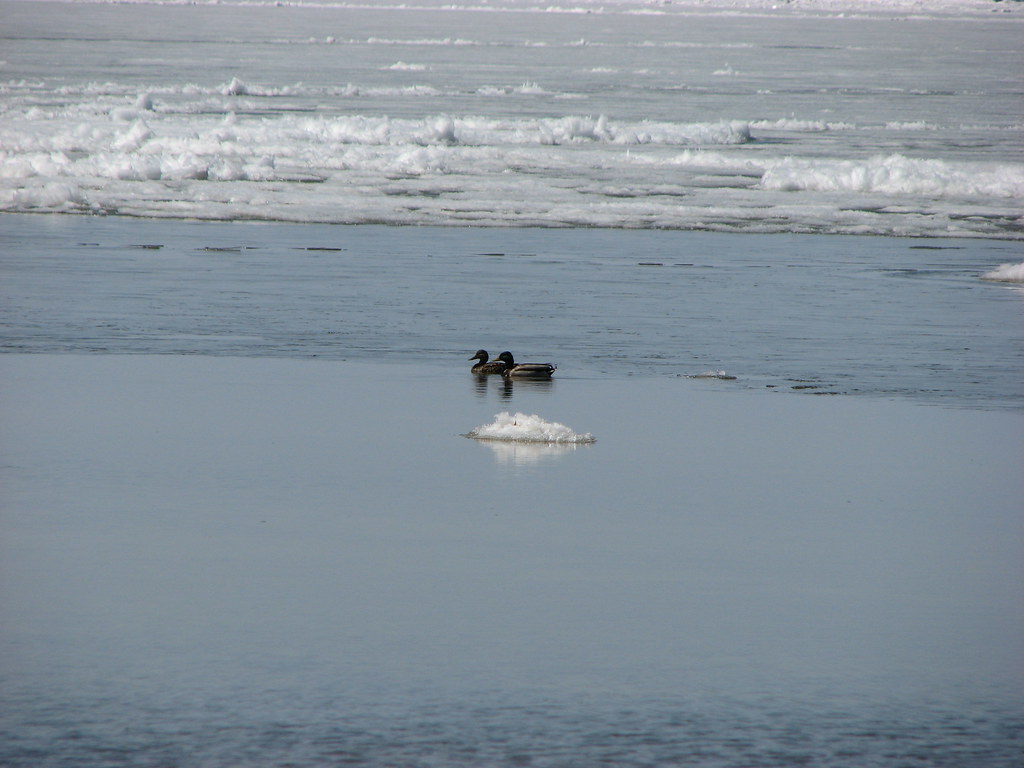 IMG_2691 Patricia Beach, Manitoba Will Frederickson Flickr