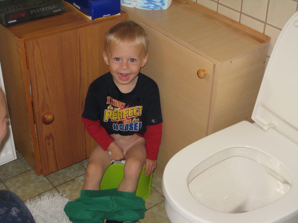 Potty Training KSuletzki Flickr