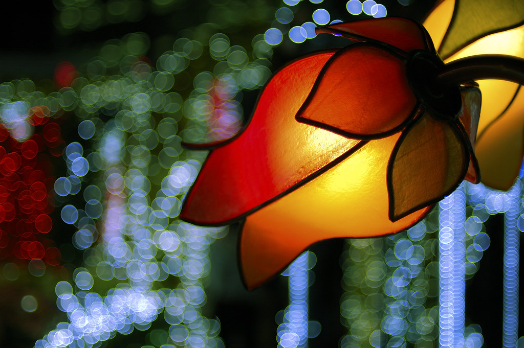 Lamp of flower toshi.mono Flickr