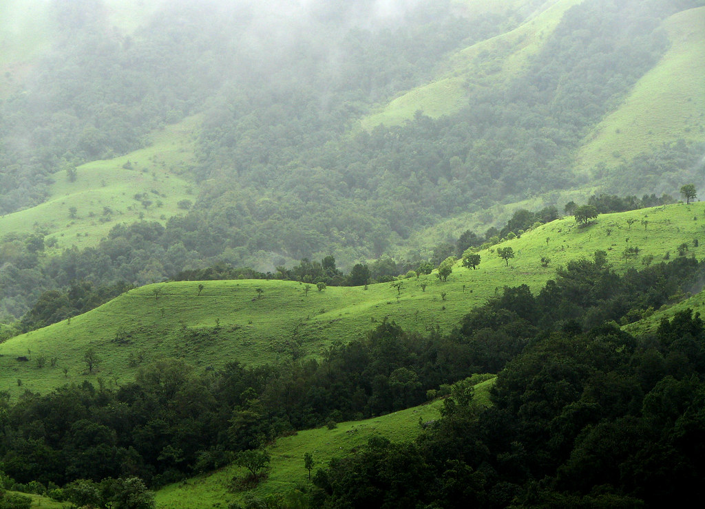 Kudremukh, Shola Grasslands. The Shola Grasslands and fore… Flickr