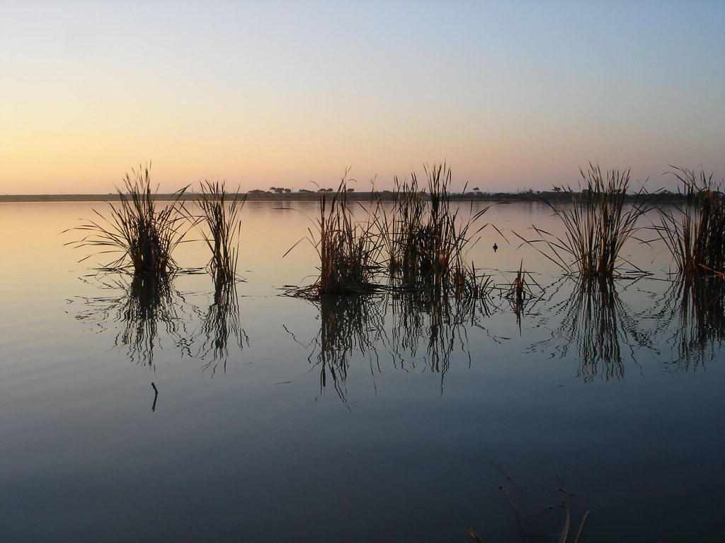 Cherry Lake Cherry Lake, Altona Kara Flickr