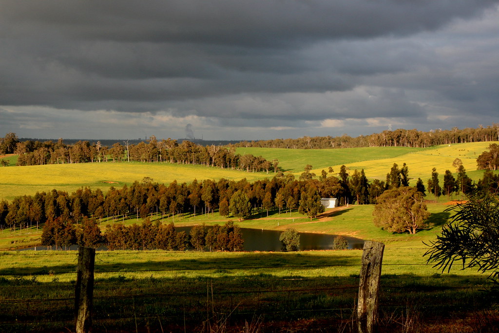 Road to Collie, WA Norman Flickr