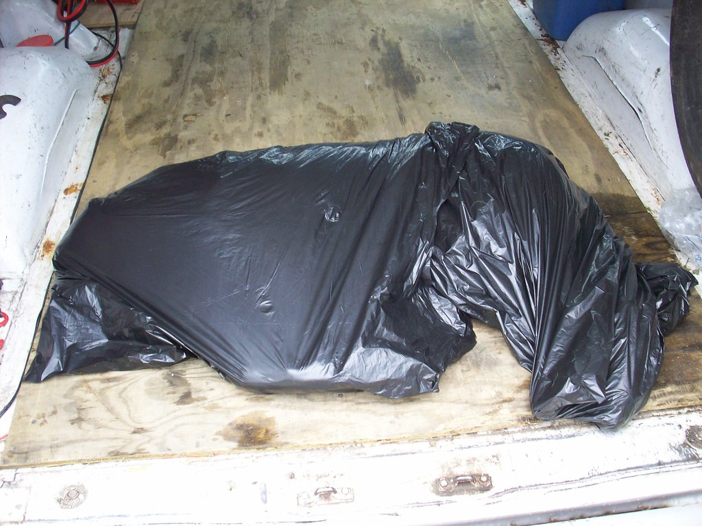 wrapped her body in bags 3 White Wolf Flickr