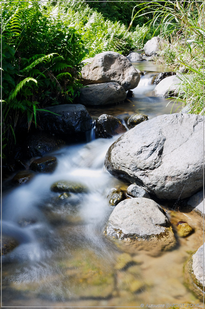 La Rivière Blanche à Coeur Bouliki en Martinique / The Whi… Flickr