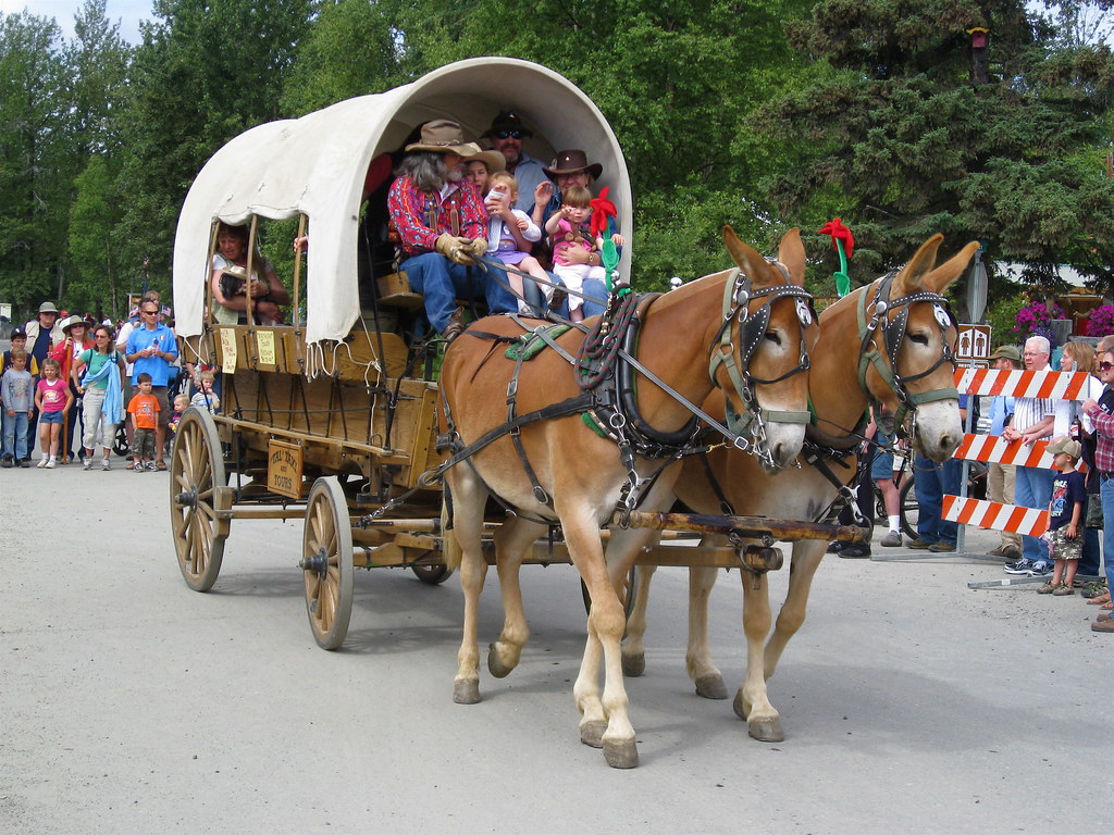 Talkeetna Moose Dropping Festival Talkeetna, Alaska Barack Obama