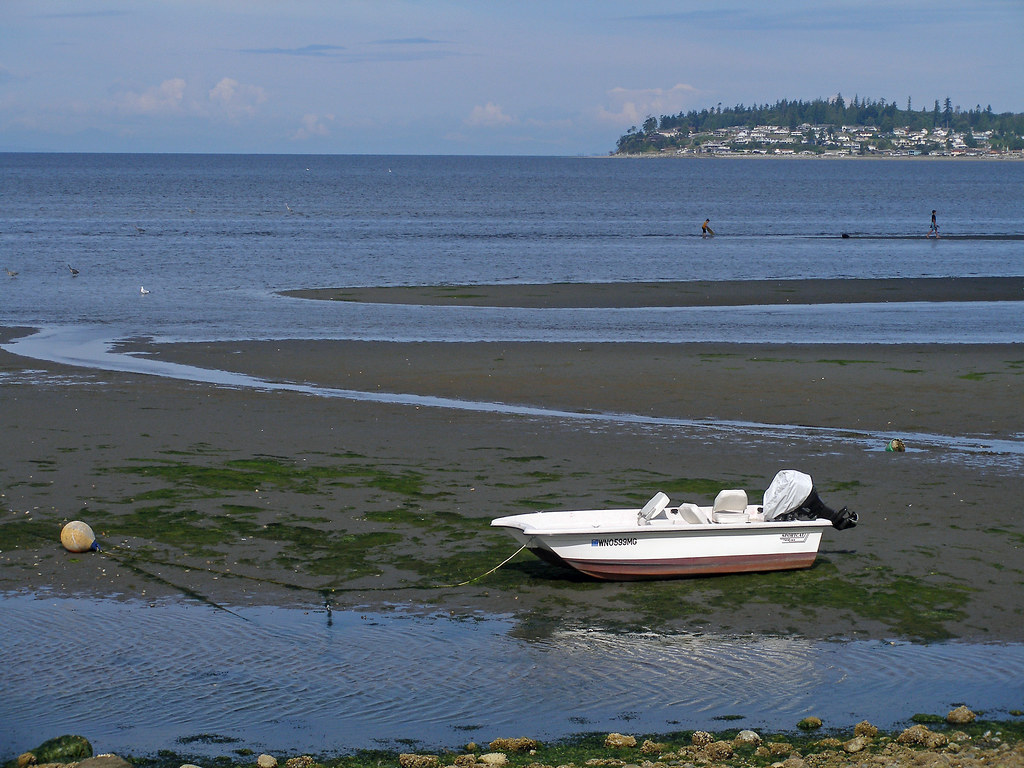 200808 Birch Bay Low Tide Low tide. I guess they don't wan… Flickr