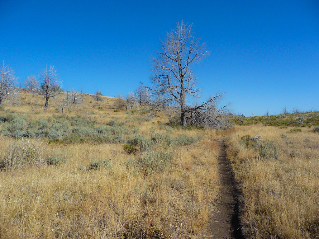 Klamath Falls Mountain Bike Trails Blueberry Blueberry i… Flickr