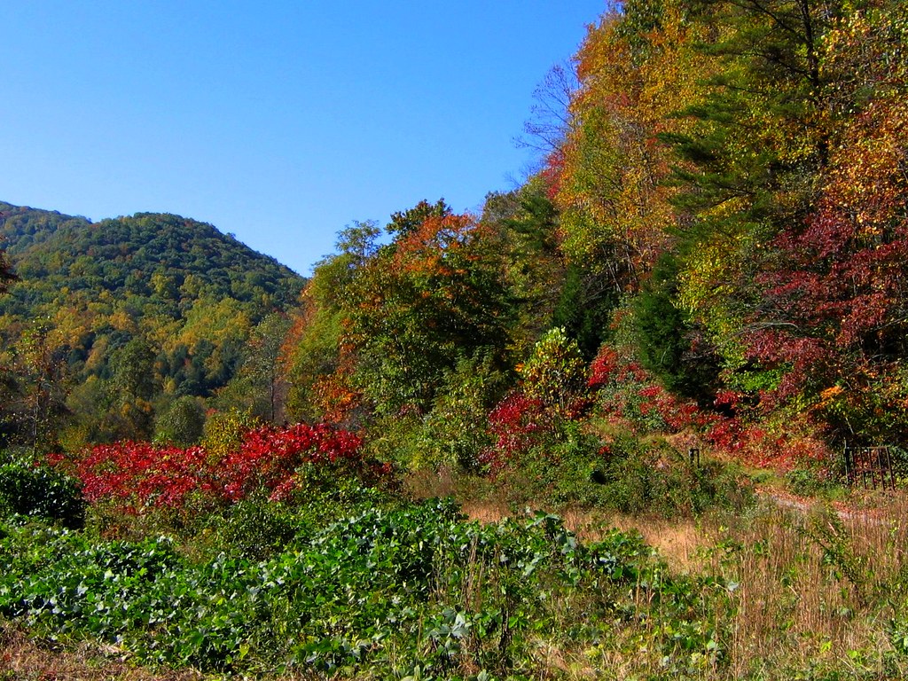 Cycling in Pleasant Valley, Union County, Another … Flickr