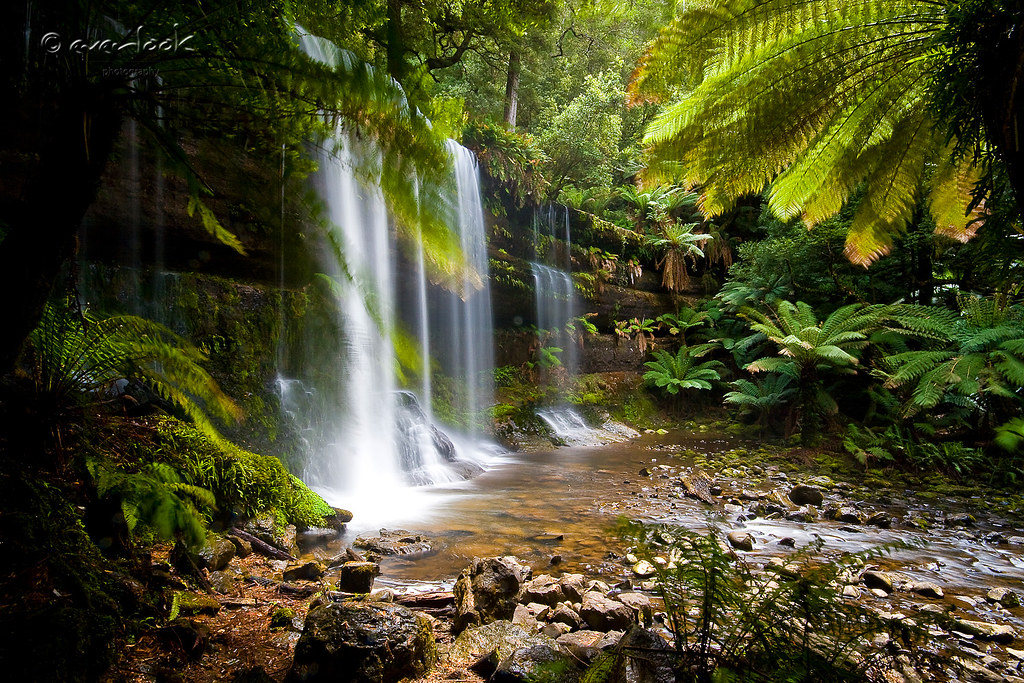 Russell Falls Mount Field National Park. Russell Falls b… Flickr