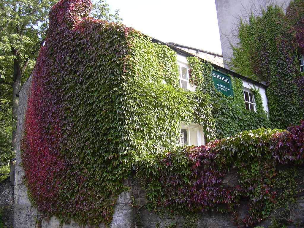 "David Hill" (Estate Agents and Chartered Surveyors) 23 Mi… Flickr