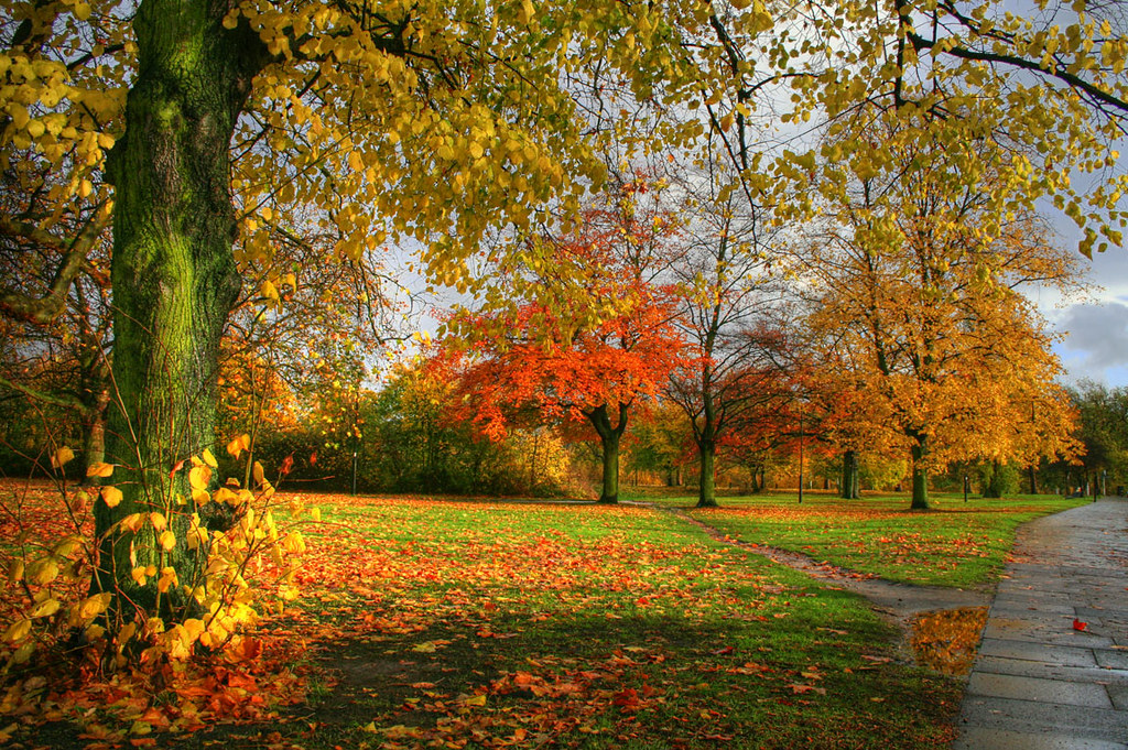 Autumn 2008 in Spencer park Spencer Park, Wandsworth [Lond… Flickr