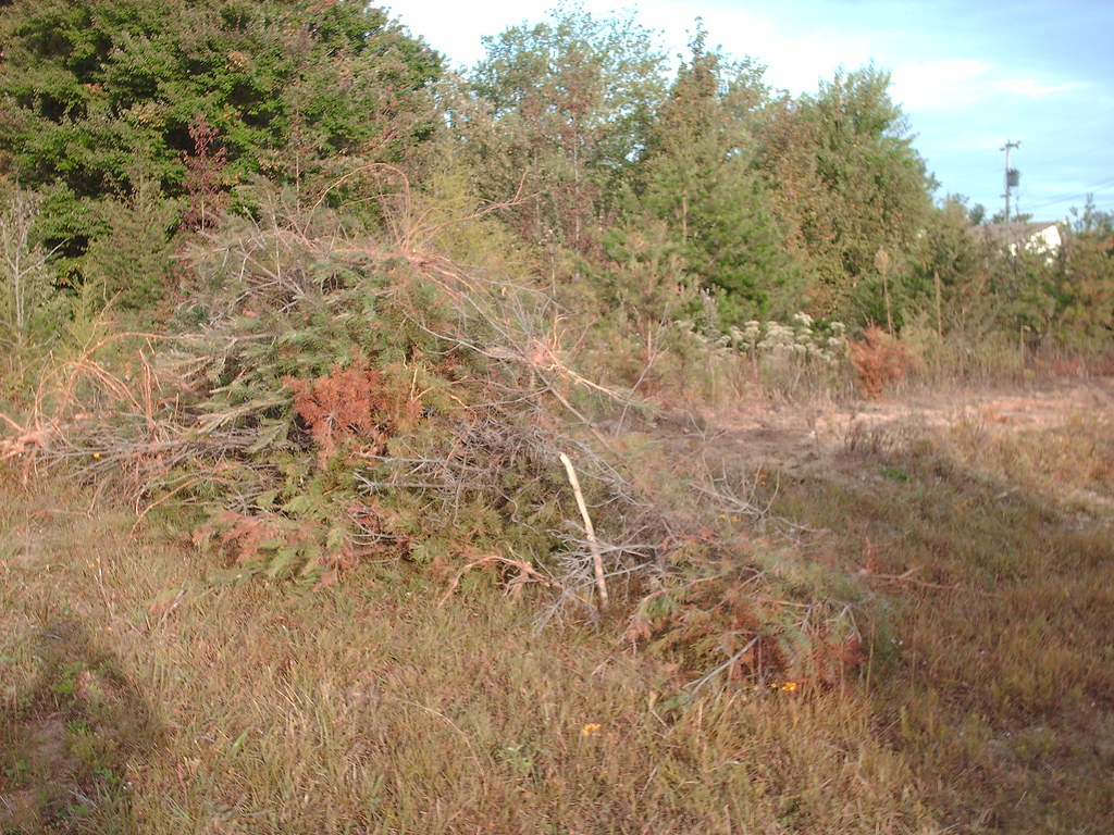 Spencer Day of Action Van Buren Co. Recycling Center Flickr