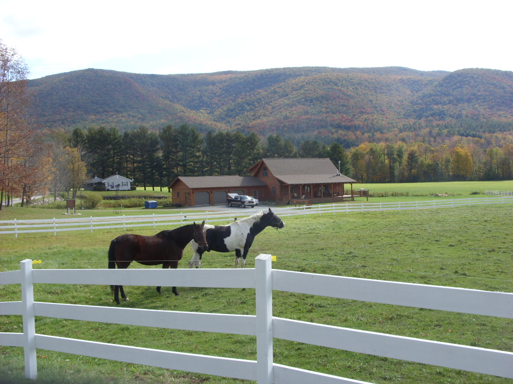 100508 276 Horses on a farm in Stamford, Vermont. Doug Kerr Flickr