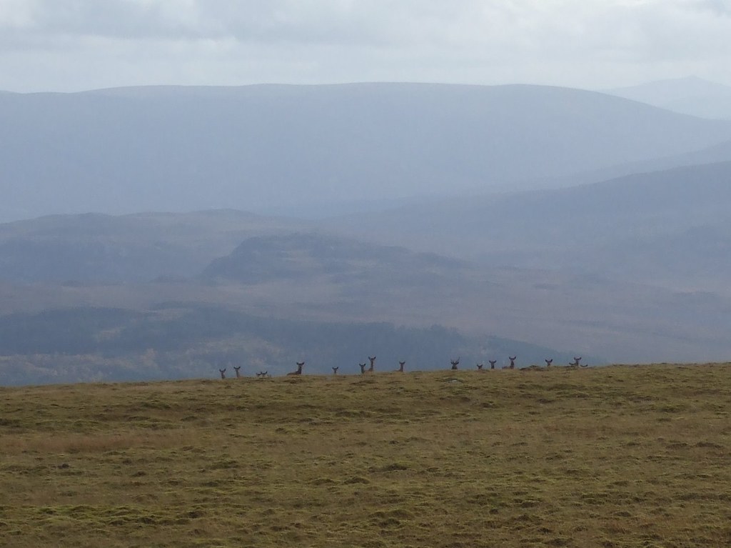 Laggan Andy MacLeod Flickr