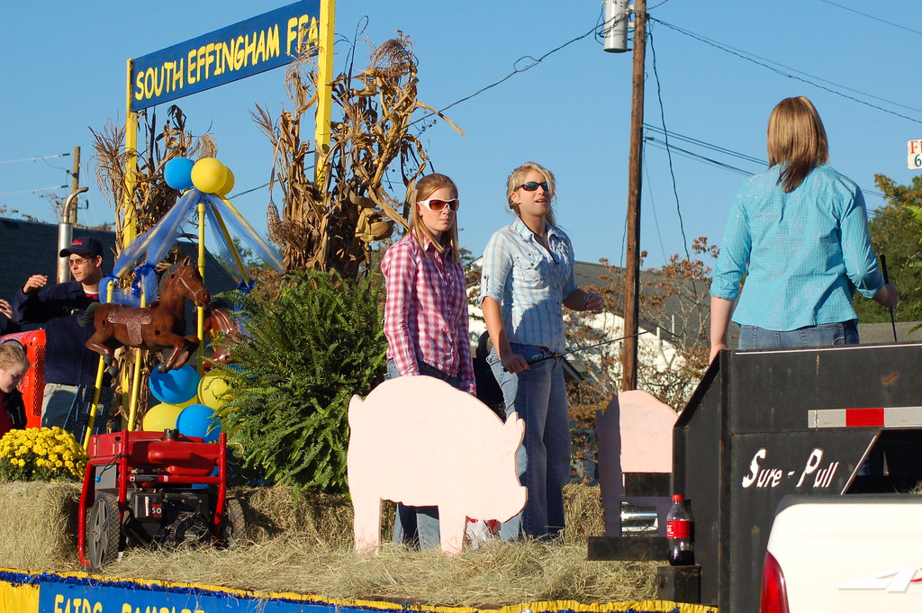 Effingham County Fair Parade 2008 Dizzy Girl Flickr