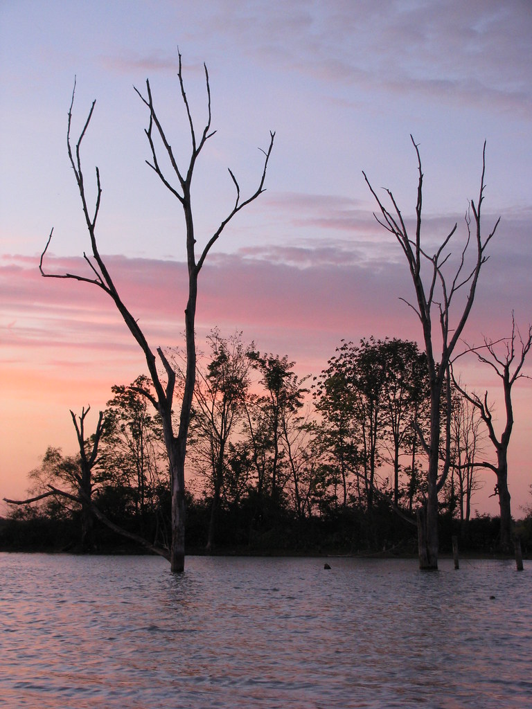 Elevation of Losantville, IN, USA Topographic Map Altitude Map