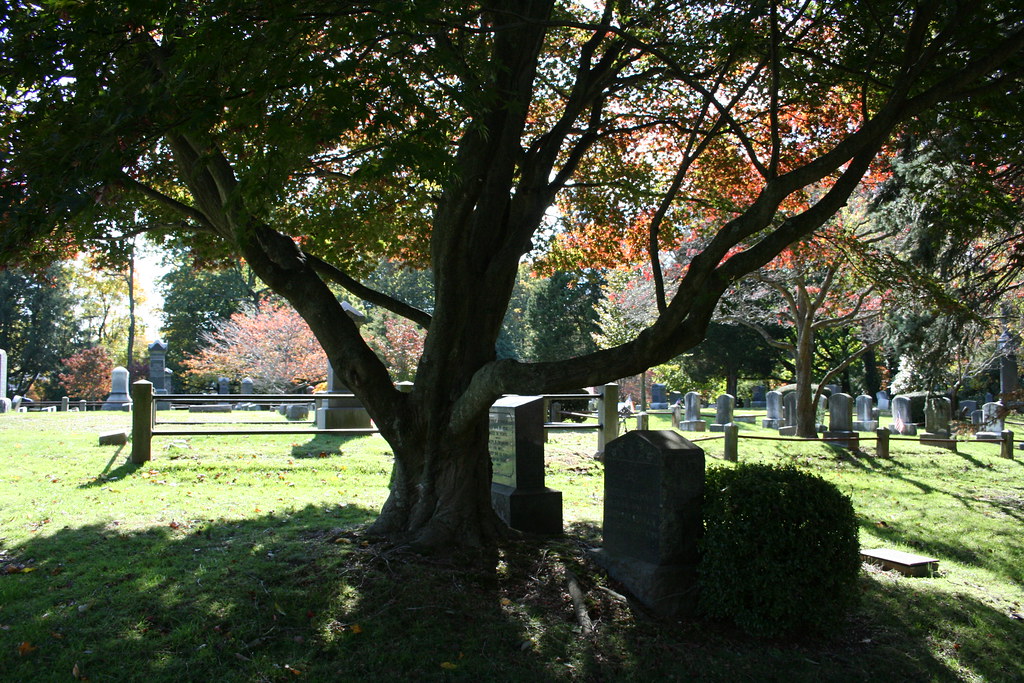 Locust Valley Cemetery 103008 (7) Jason Shore Flickr