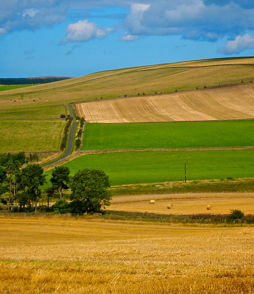 Summer Fields Lane A narrow lane winding up hill through r… Flickr