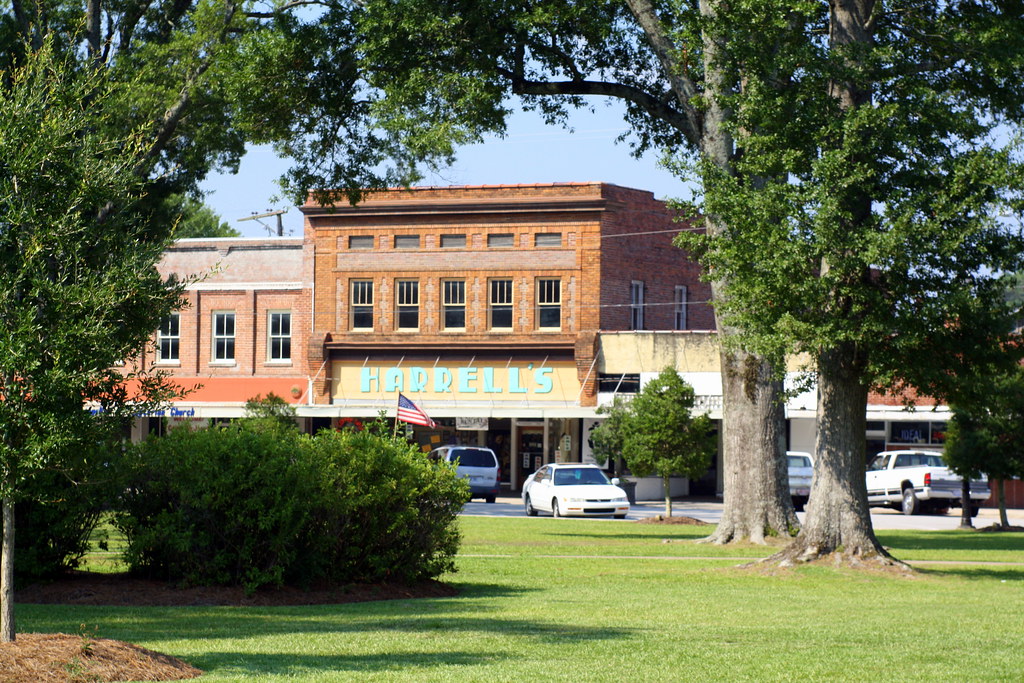 Harrell's, through the Trees "Downtown" Burgaw, NC, from t… Flickr