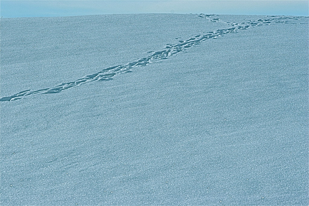 Guy Paquet Horizon in South Stukely.... Le chemin a freque… Flickr