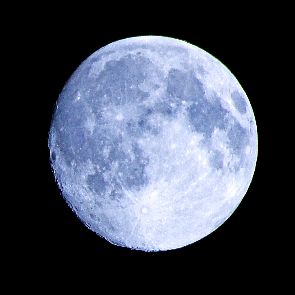 Blue Moon Blue moon I saw you standing alone... Matt McNulty Flickr