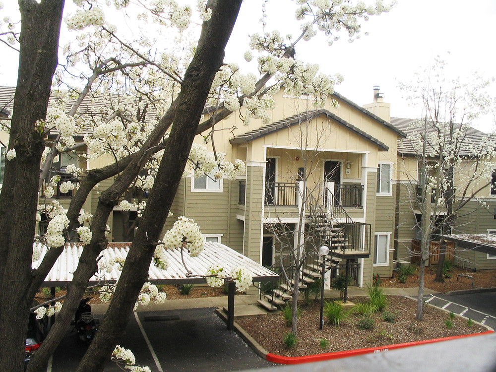 View outside my cousin's apartment in Folsom For more, go … Flickr