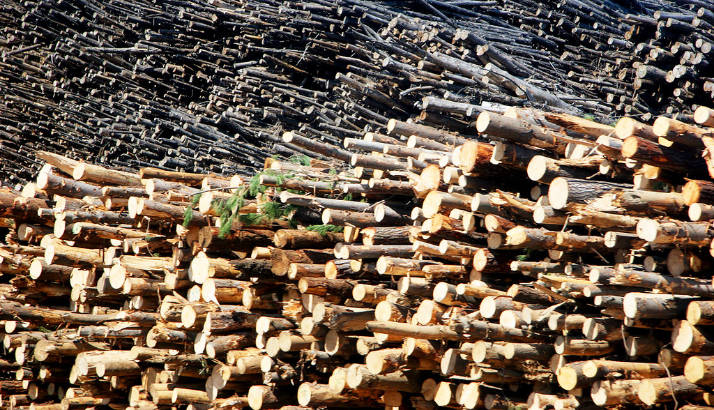 wood. lots of wood. Complejo Forestal Industrial Horcones,… Flickr
