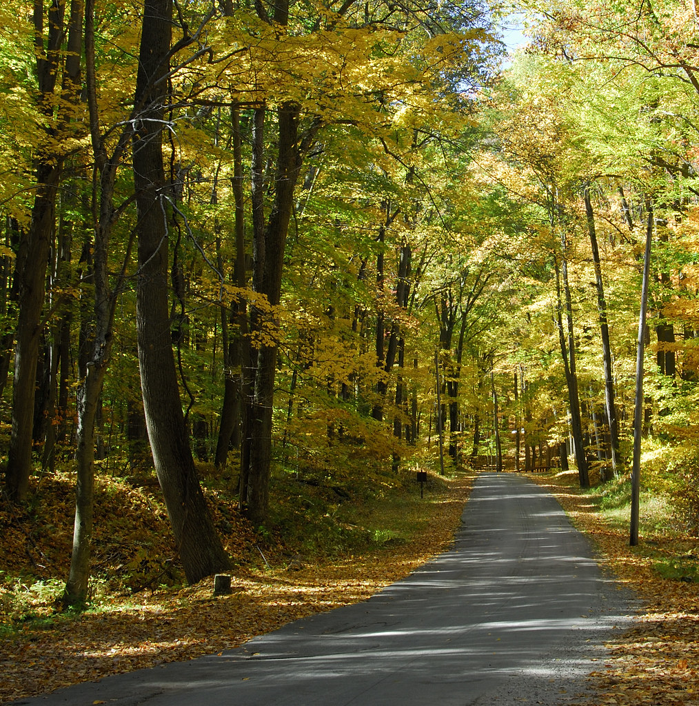 Linn Run State Park Near Ligonier Fall colors at Linn Run … Flickr