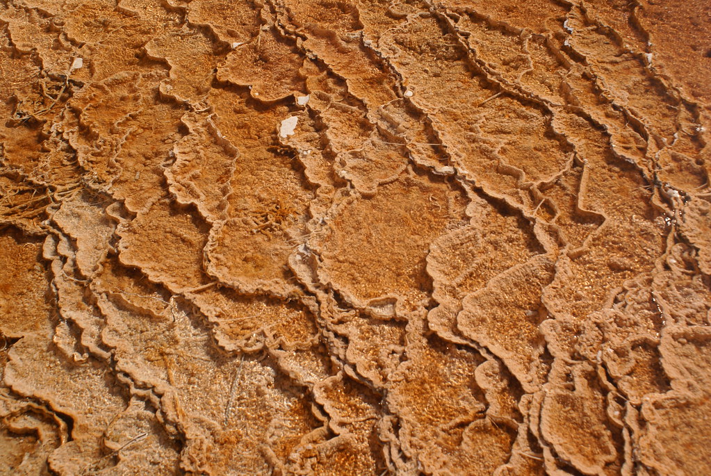 Cyanobacteria Mats Yellowstone National Park Larch Bocek Flickr