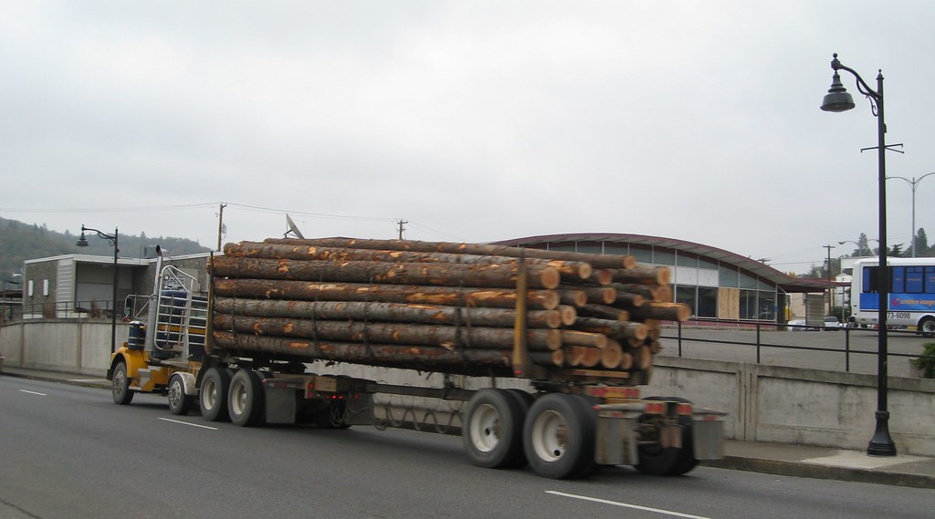 Logging truck Roseburg, Oregon Roseburg is a logging tow… Flickr