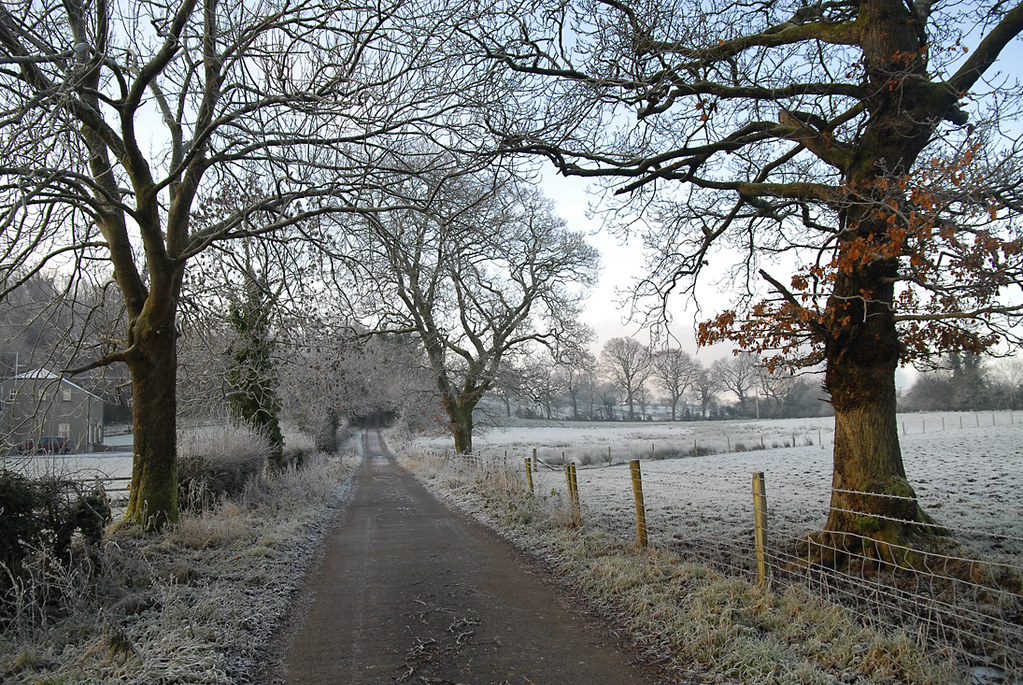 Frosty Lane. peter boalch Flickr