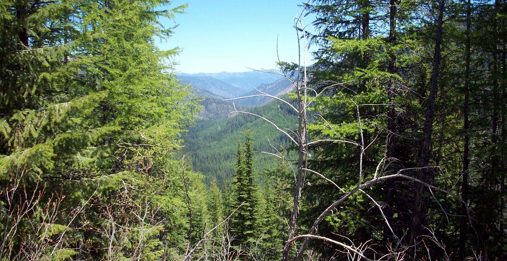 Trout creekMontana Kim Flickr