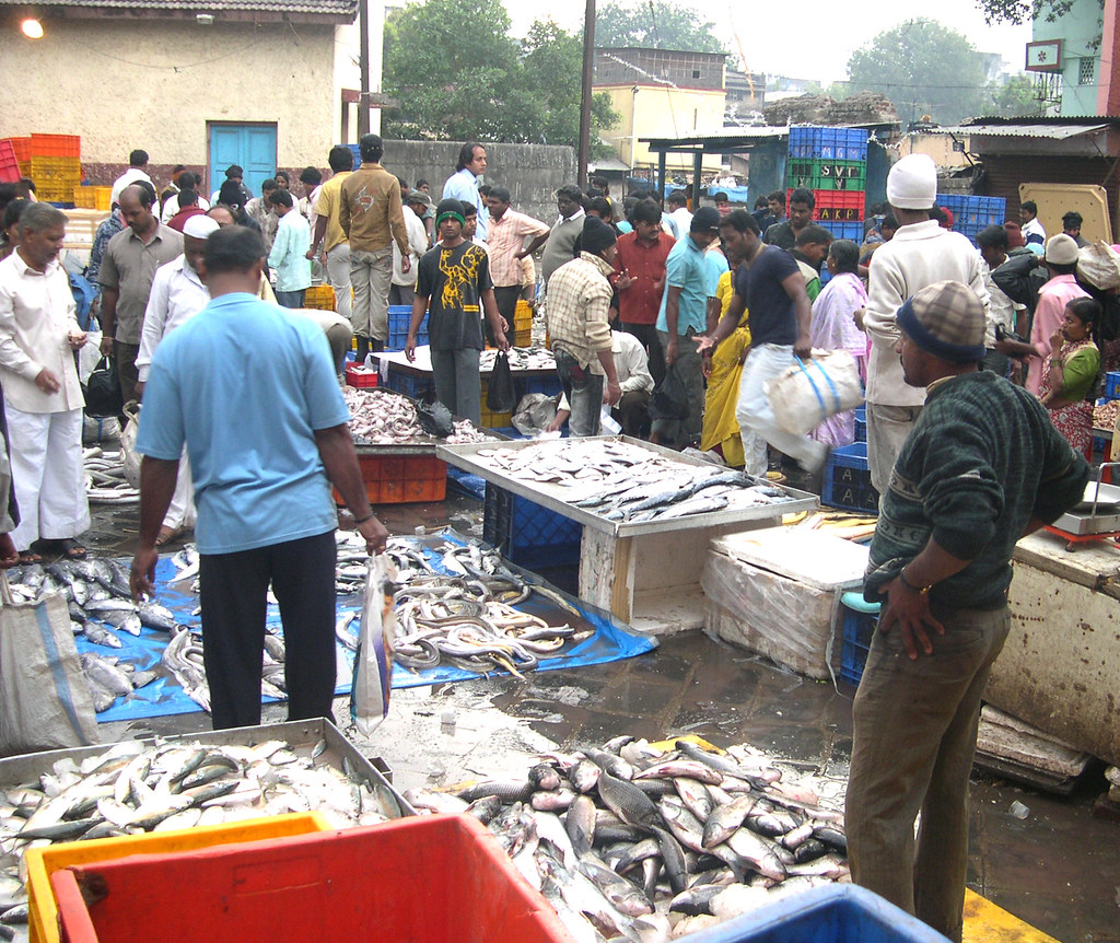 fish market The great chaos at the Pune fish market early … Flickr