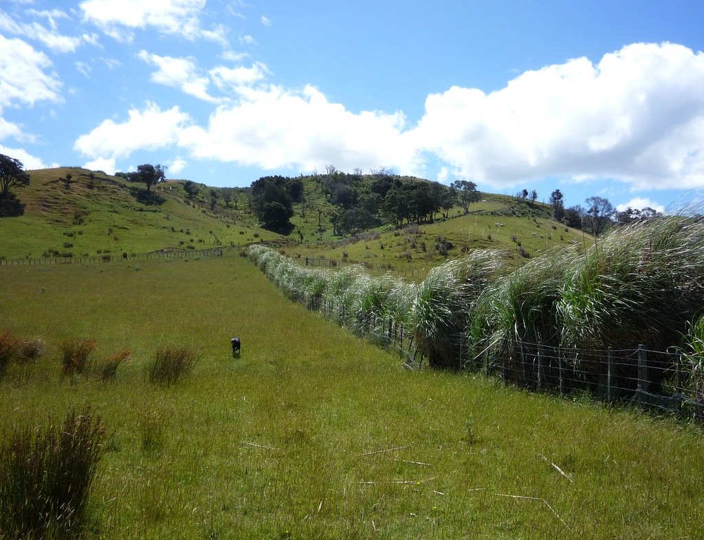 Drummond Ranch View from the Drummond Ranch. nateoakes Flickr