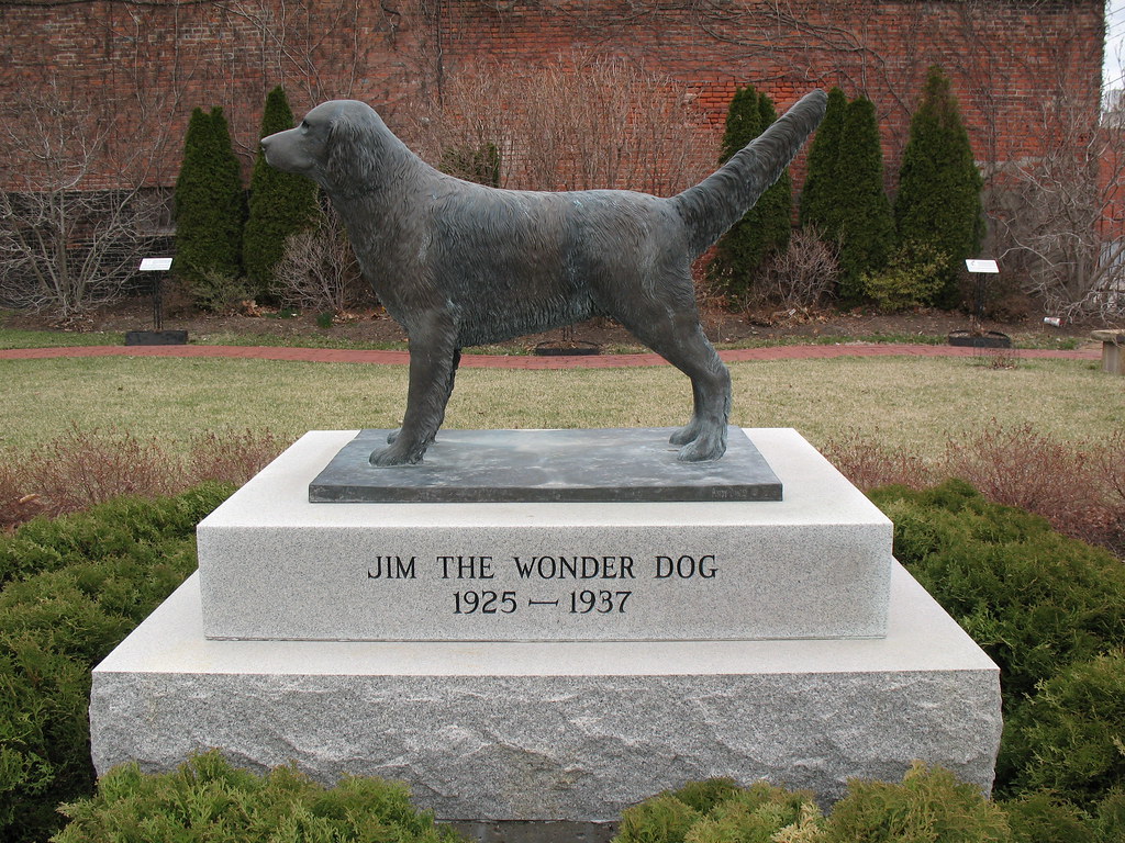 Wonder Dog Memorial Garden Jim's majestic memorial statue.… Flickr