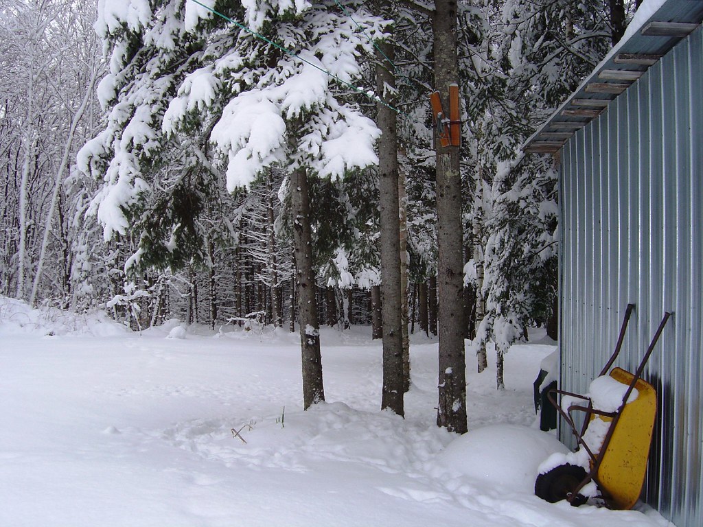 otter lake,québec nos cockers Flickr